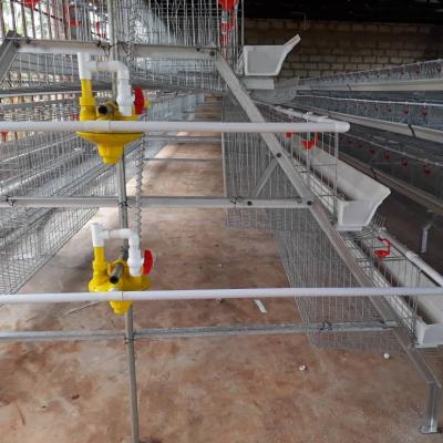 China Commercial Chicken Farm Poultry Layer Chicken Cage For Poultry Farming for sale