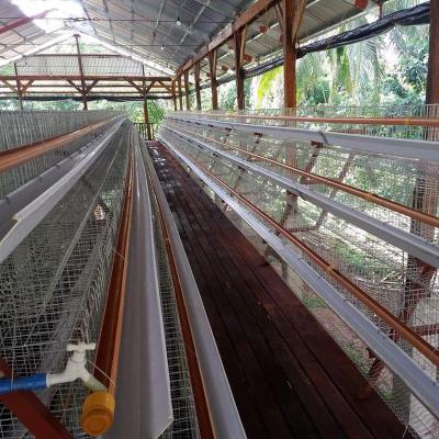 China Commercial Chicken Farm Poultry Cages For Layer Chickens for sale