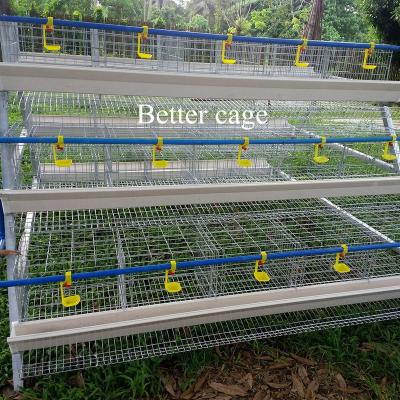 China Poultry Field Battery Cages For Poultry Chicken Layer for sale