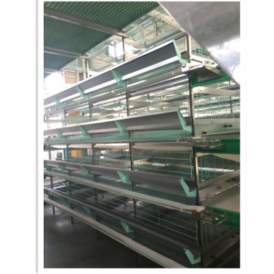 China Hot Selling Poultry Field BT Poultry Cages Pen For Layer Chickens In Kenya for sale