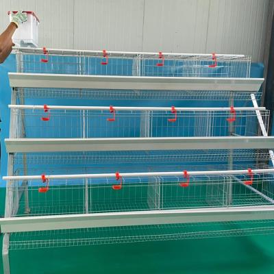 China Commercial Hot Selling Chicken Farm BT Poultry Cages Pen For Layer Chickens In Kenya for sale