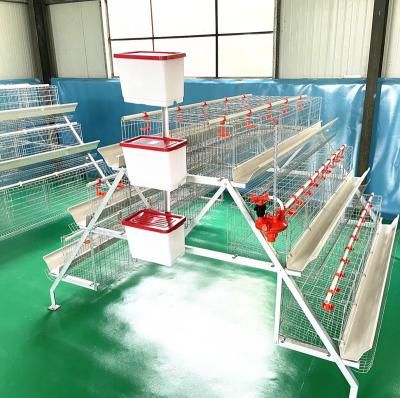 China Farms Chicken Farm Equipment Battery Cage For Layer Chickens for sale