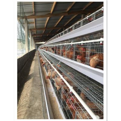 China Farms Hot Selling BT Layer Chicken Cages For Chicken House Farm For Animals In Nigeria for sale