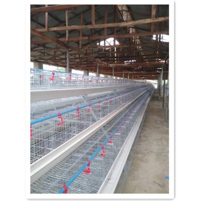 China Hot Selling Poultry Field BT Layer Chicken Cages For Chicken House Farm For Animals In Nigeria for sale