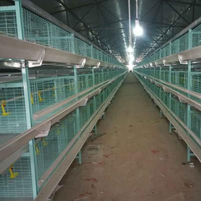 China Easily Save Clean Space H Type Broiler Cages Poultry Feeding System For Sale for sale