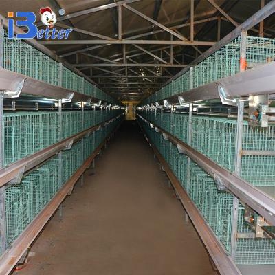 China Easily install the low price metal poultry cage for chicken for sale