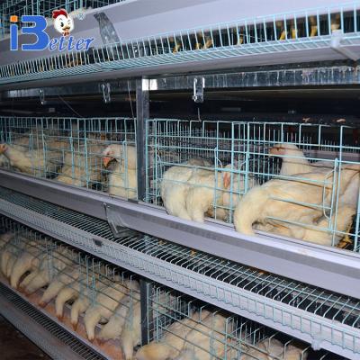 China Easily Install Hot Sale Poultry Farm Hot Dip Galvanized Layer Chicken Cage for sale