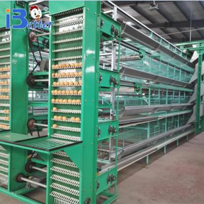 China Easily Install China Manufacturer Supply Strong Cages For Poultry Farm for sale