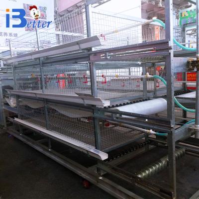 China Easily Install Reliable Quality H Type Broiler Chicken Cage for sale