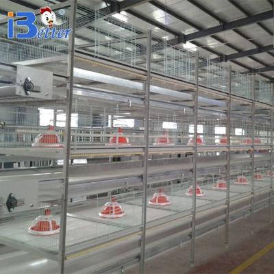 China Easily Install Popular Design Layer Equipment Broiler Cages For Sale for sale