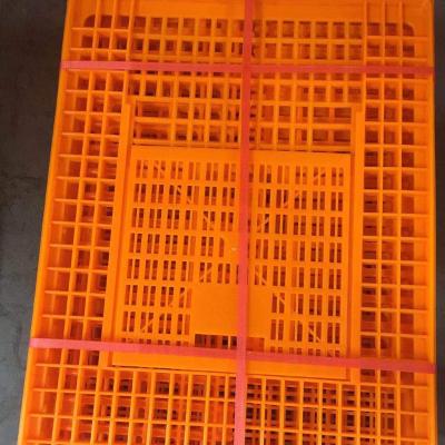 China Hot Selling Farms t Plastic Cage For Live Chicken Transportation Chicken Transport /transfer Cage /crates for sale