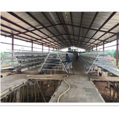 China 2017 hot-sale H type of farms broiler cage (welcome to visit my factory) for sale