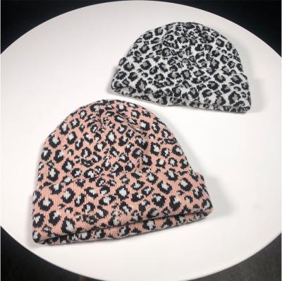 China New Dobby Leopard Print Knit Cotton Beanie Hat Women's Retro Leopard Print Knitted Hat for sale