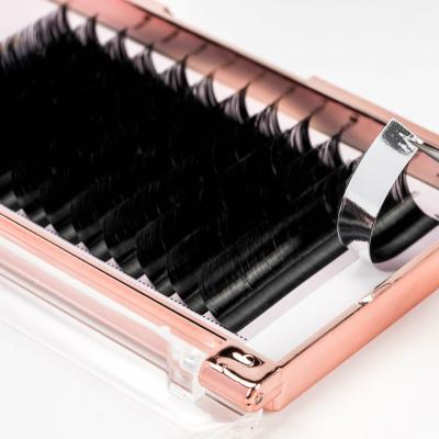 China Lightweight Eyelash Extension 0.05 0.07 0.10 0.12 0.15 0.18 0.20 cc Double Density D Loop Volume Silk Russian Lashes for sale