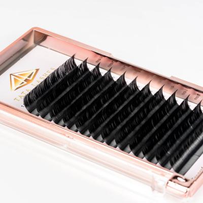 China Natural Easy Fan Eyelash Thickness 0.03 0.05 0.07mm Eyelash Extensions Curl C D cc DD Custom Logo Acceptable for sale