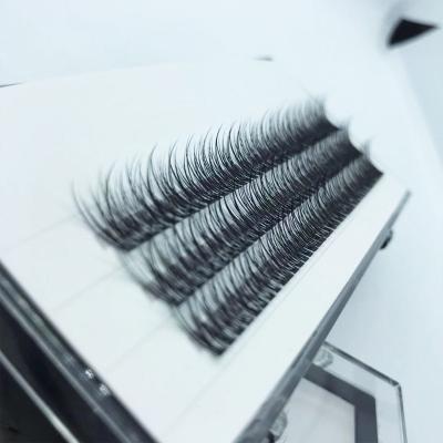 China New Style Natural Private Label Long Volume Fishtail Lashes Remade 8-14mm Volume Fans Eyelash Extension Manufacturer for sale