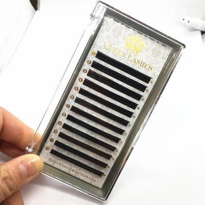 China New Natual Individual Ellipse Eyelash Extensions OEM Private Label Flat Silk Lashes Tray for sale