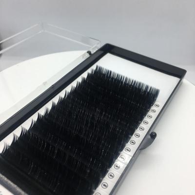 China Super Flexible Manufacturer Wholesale Flat Lash Extension Black Color Wick Silk Eyelash Extension for sale