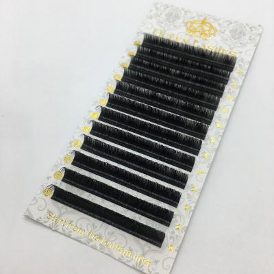 China Delicate Wholesale 100% Real Mink Eyelash Extension Siberian Mink Lashes Extension for sale