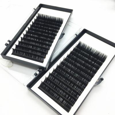 China Korean OEM PBT Private Label Volume Eyelash Extension of Different Natual Beauty Silk Eyelash Extensions for sale