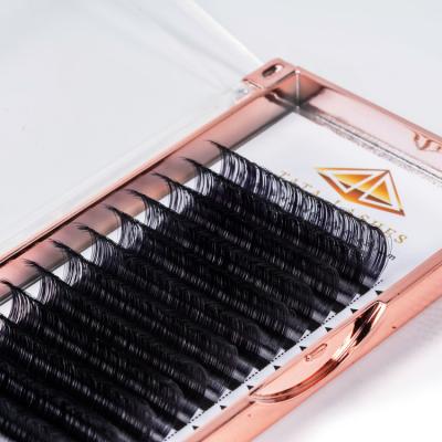 China Light Fast Single Eyelash Extension 12rows Factory Delivery Individual Lashes Extension Total for sale