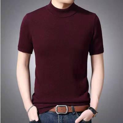 China 2022 Anti-Wrinkle RTS Spring Summer Mid Collar Short Sleeve Plain Knit Mens Sweater Pullover for sale