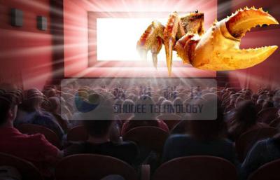 China Indoor 4D cinema system for sale