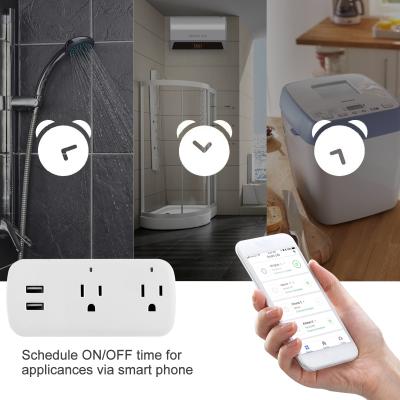 China New Model US Standard Mini Wifi Smart Plug Dual USB WIFI Residential/Multi-Purpose Socket Smart Socket Alexa Google Control for sale