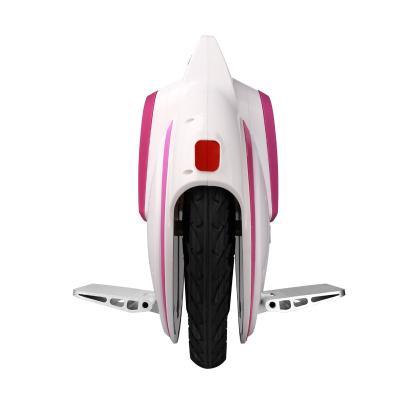 China Foldable One Wheel Electric Unicycle With 450w 14 Inch Motor Air Wheel for sale