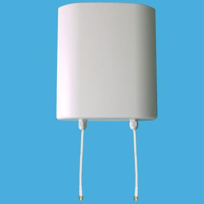 China 2.3-2.7GHz 14dBi Dual Polarized 4g Lte Mimo Antenna , Mimo Panel Antenna for sale