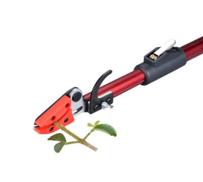 China Long length 3M Cut and plug telescope shaft pruner for sale