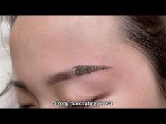 OEM Eyeliner Eyebrow Permanent Makeup Pigment Tattoo Ink