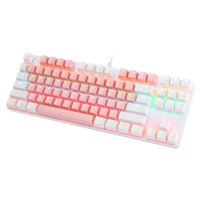 China Anti-ghosting Two Color 87 Key Keyboard Green Axis Notebook Tablet PC Head Office RGB Mechanical Illuminated Keyboard for sale