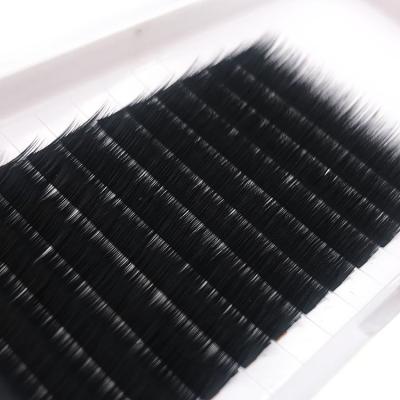 China Professional Private Label Mink Individual Eyelash Extensions, Long Lasting Eyelash Extension 0.05 0.07 0.10 0.15 0.20 Eyelash for sale