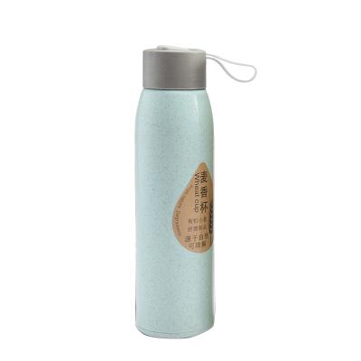 China Double Wall Wheat Straws Glass Biodegradable Water Bottle Eco-friendly Sustainable For Travel for sale