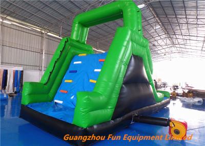 China Customized Outdoor  Inflatable water slide for kids fun , bouncer water slide for water park for sale