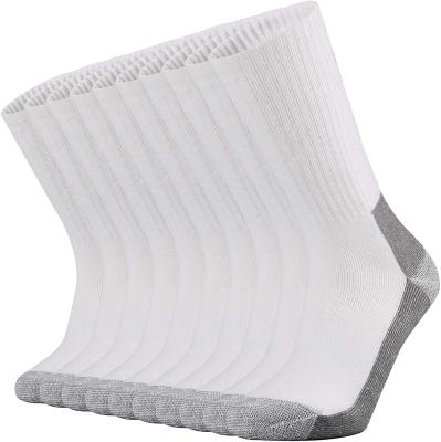 China Anti-skid Elastic Sports Wicking Moisture Cotton Design Fashion Cushion Cushion Crew Socks For Men for sale