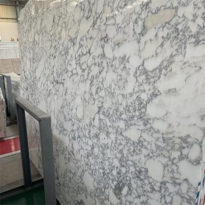 China Modern Classico Arabescato White Marble with Arabescato Corchia White Marble from Gray Veins White Marble Slab for sale