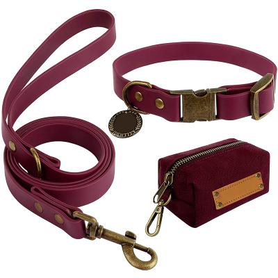 China 2021 Custom Modern Lightweight PVC Dog Collar and Leash OEM New Style Lightweight Retractable Dog Collars and Leash for sale