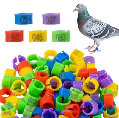 China New Diameter 8mm Number Recognition Pigeons Bird Inner Leg Ring Viable Custom Plastic Band Ring for sale