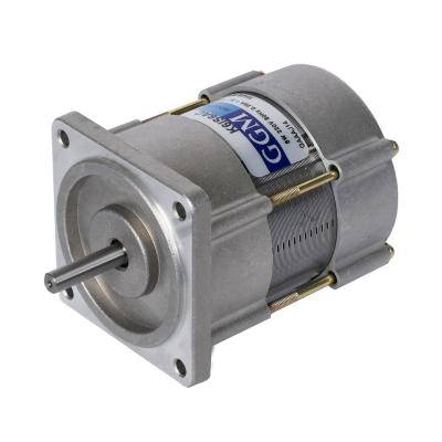 China Waterproof High Quality Light Weight Electric AC Motor For Dry Indoor Outdoor Environments for sale