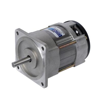 China Factory Sale Waterproof Good Stability AC100 Single Phase Metal Gear Adaptable Motor for sale