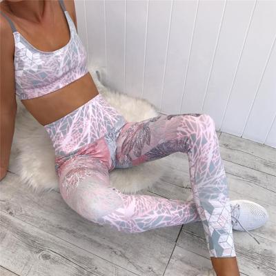 China Antibacterial Gym Gaiters Sports Bra Tracksuits Fitness And Yoga Wear Set for sale