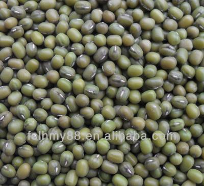 China Northeast China Dried Green Mung Beans for sale