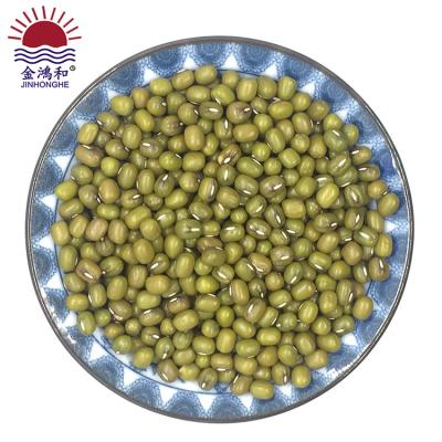 China Good Price Grade Various Sizes Dry Wholesale Green Mung Beans Cultivate Price Seed Gram Export Excellent Supplier for sale