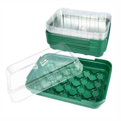 China Seedling Plastic Seedling Cultivation Mini Greenhouse Plant Growing Tray Good Quality Seedling Tray for sale