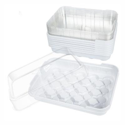 China Seedling Growing Tray Mini Greenhouse Kits Propagation Seed Tray Plastic Grow Seeds For Microgreen Hydroponic Trays for sale