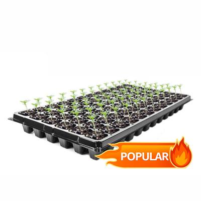 China Eco-friendly Seed Planting 72 Cell PET Plastic Seed Starting Grow Germination Tray For Greenhouse Vegetable Nursery for sale