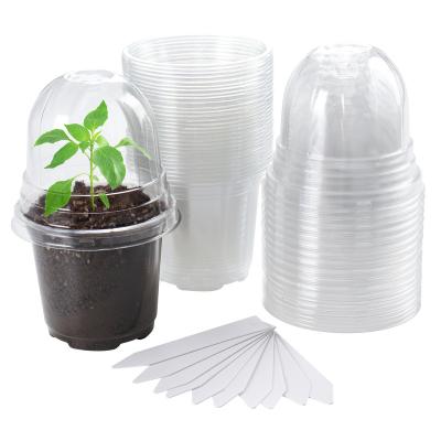 China Eco-friendly 4 Inch Clear Nursery Smart Pots With Drainage Hole Flower Seeding Pot Starting Pot for sale