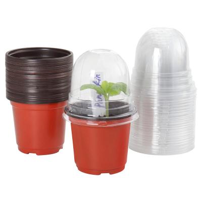 China Transparent Plastic Nursery Eco-friendly Pot Plant Planter With Drainage Hole Grass Planter Succulent Seed Starting Pot Flower Plant Container for sale